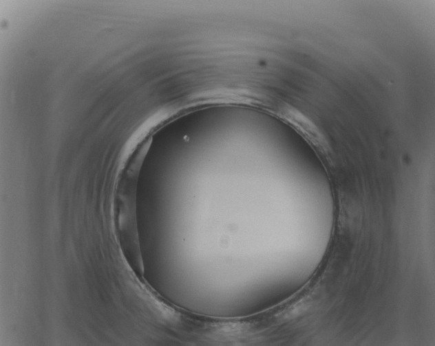 X0000062861188200601201721