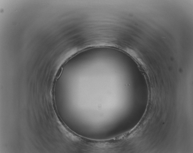 X0000062861189200601201721