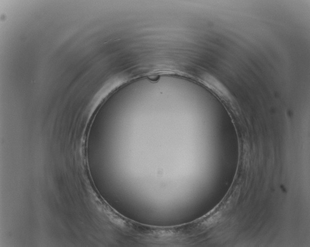 X0000062861190200601201721