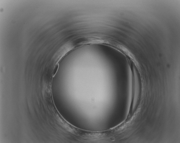 X0000062861193200601201721