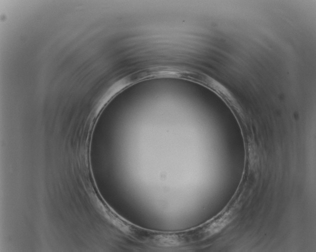 X0000062861194200601201721