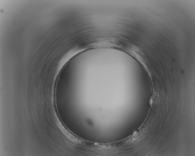 X0000062861195200601201721