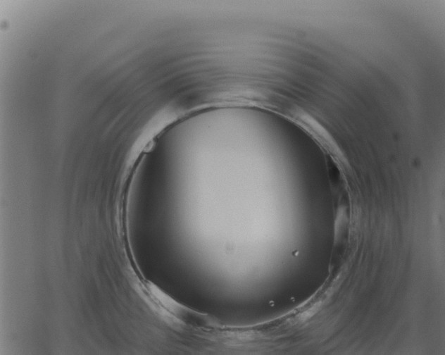 X0000062861196200601201721