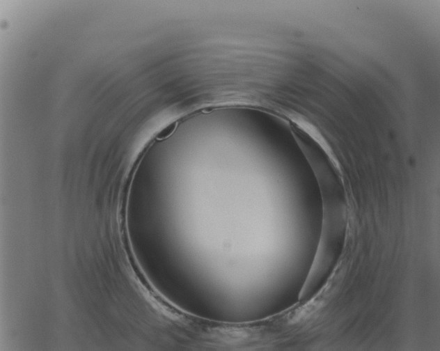 X0000062861197200601201721