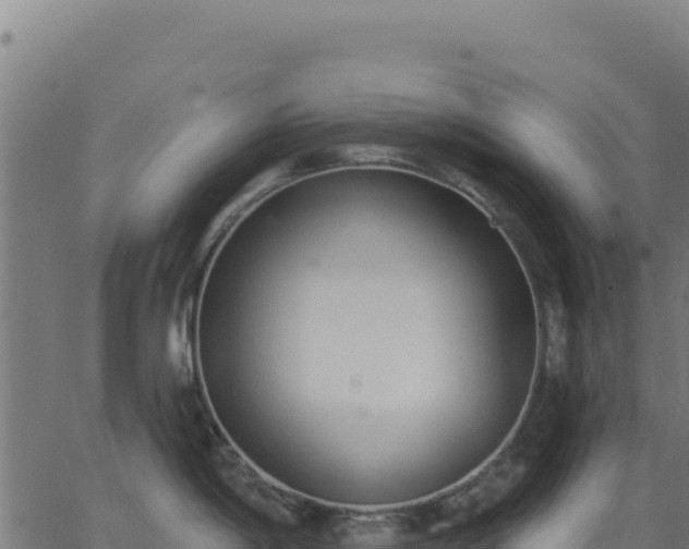 X0000062861198200601201721