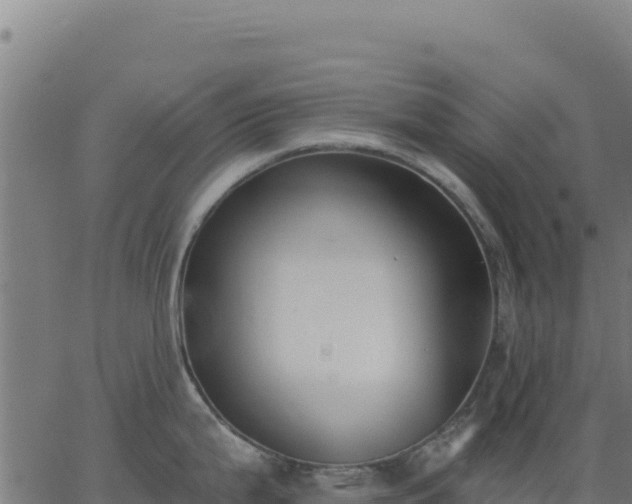 X0000062861199200601201721