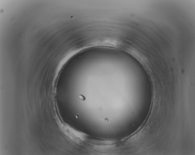 X0000062861200200601201721