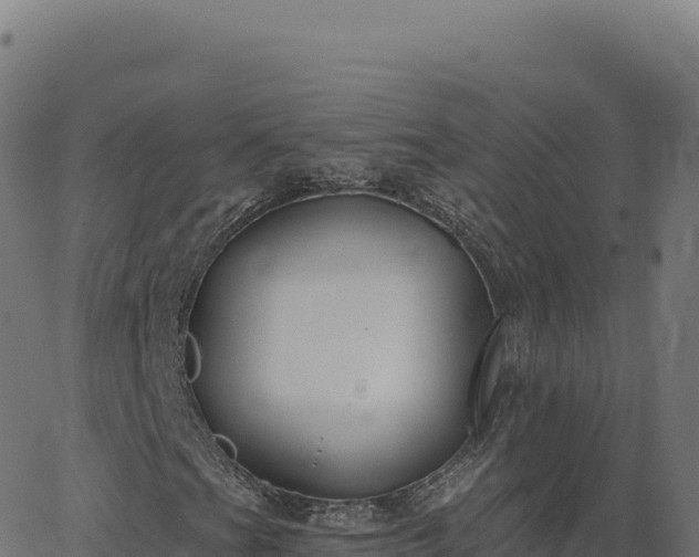 X0000062861201200601201720