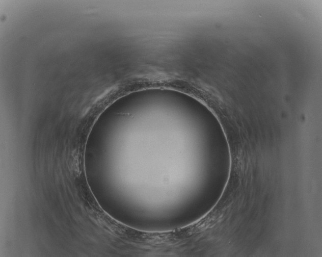 X0000062861205200601201720