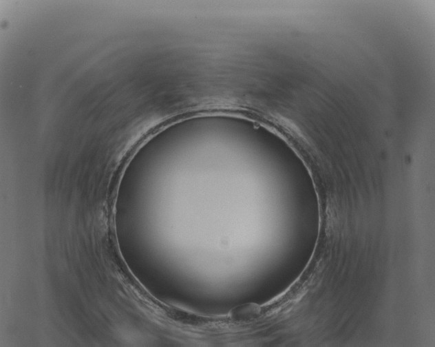 X0000062861212200601201720