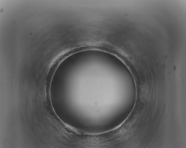 X0000062861214200601201720