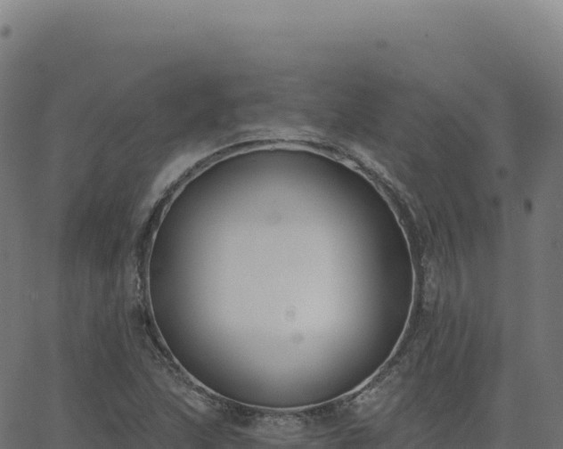 X0000062861215200601201720