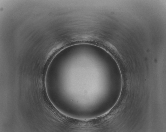 X0000062861218200601201720