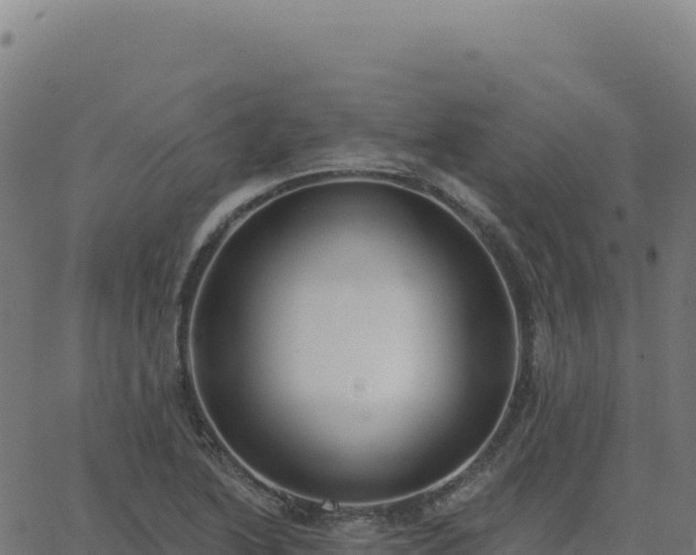 X0000062861222200601201720