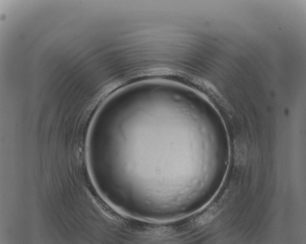 X0000062861225200601201720