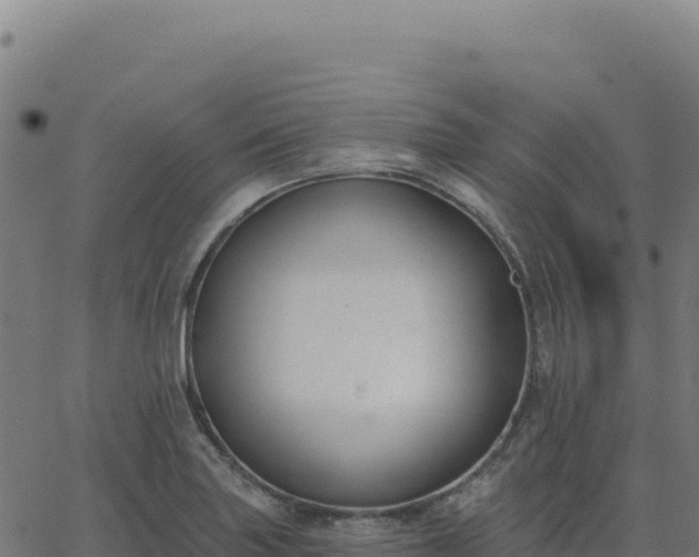 X0000062861227200601201720