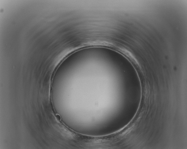 X0000062861228200601201720