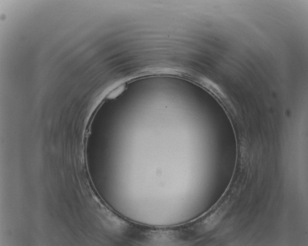 X0000062861236200601201720