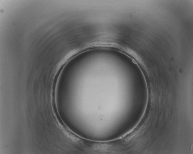 X0000062861237200601201720