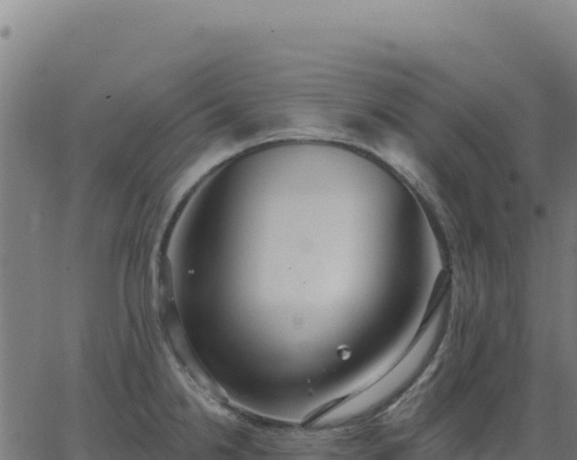 X0000062861238200601201720