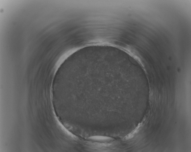 X0000062861239200601201721