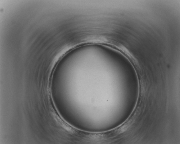 X0000062861240200601201721