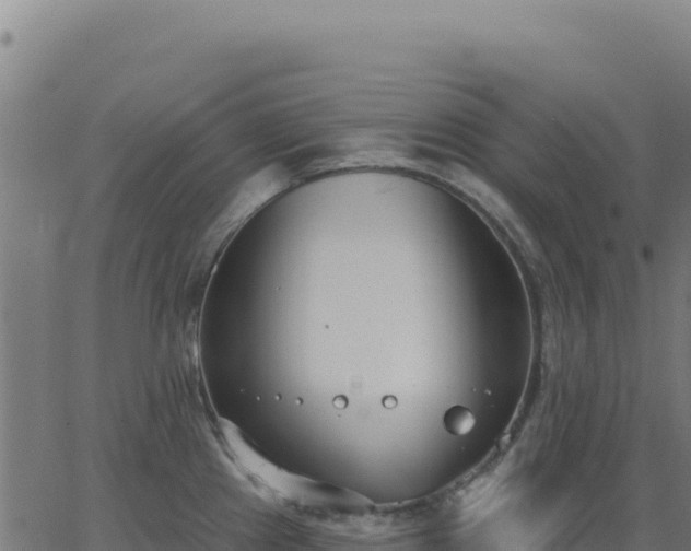 X0000062861241200601201721