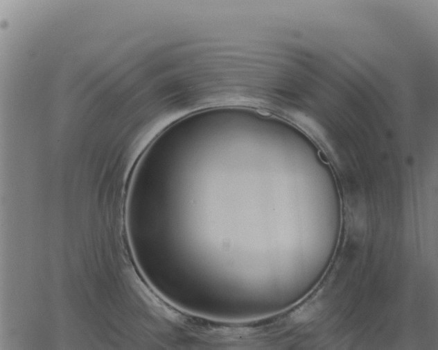 X0000062861244200601201721