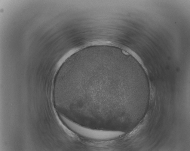 X0000062861245200601201721