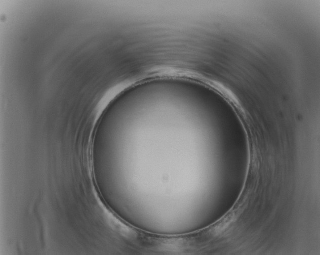 X0000062861247200601201721