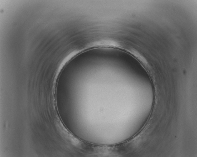 X0000062861248200601201721