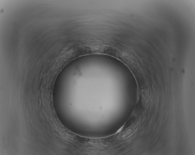 X0000062861249200601201720