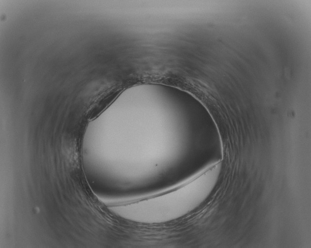 X0000062861252200601201720