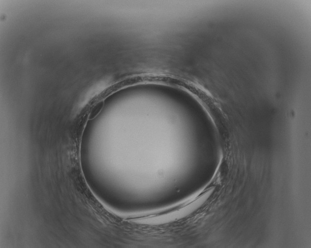 X0000062861255200601201720