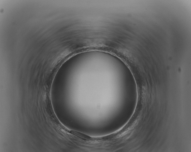 X0000062861257200601201720