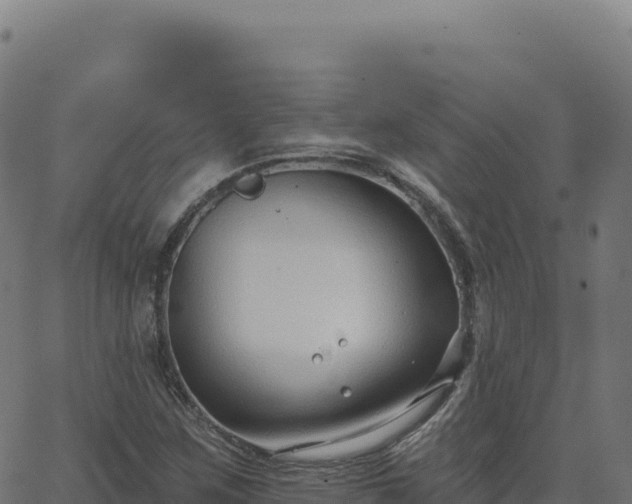 X0000062861259200601201720