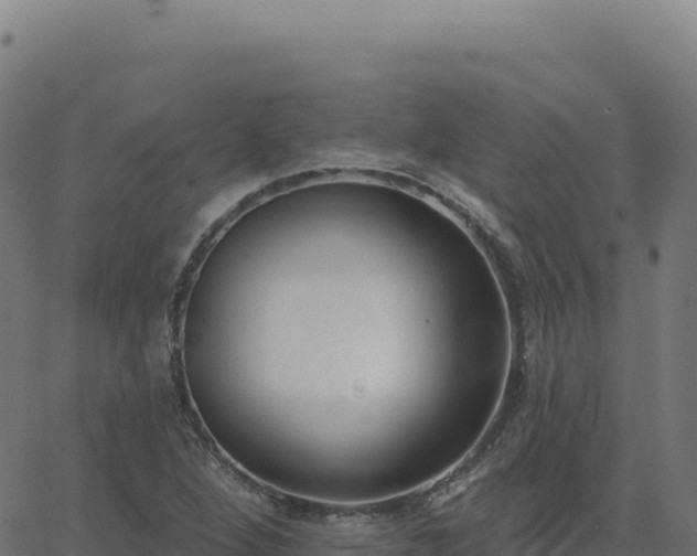 X0000062861264200601201720