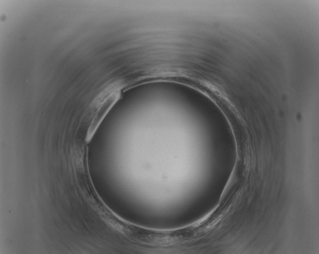 X0000062861273200601201719