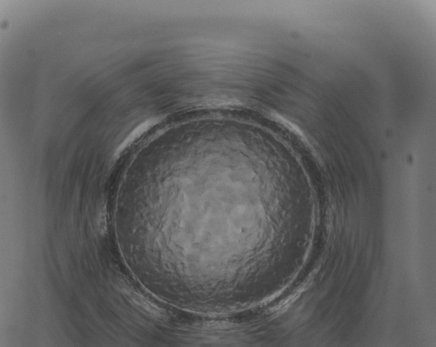 X0000062861306200601201718
