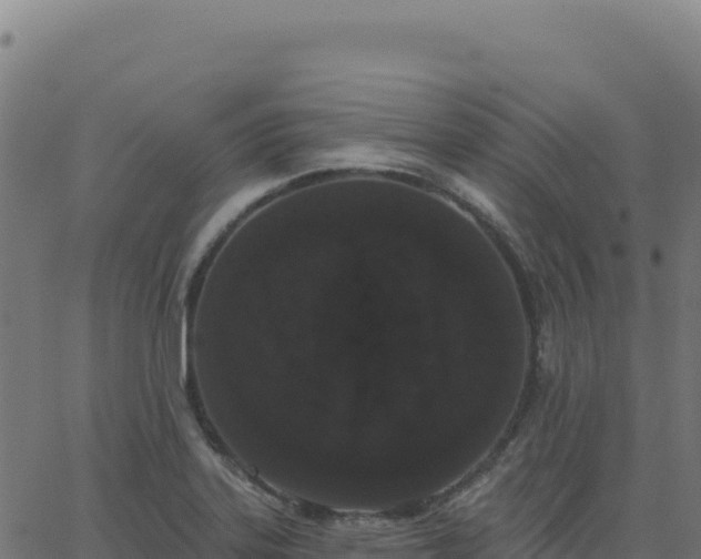 X0000062861323200601201719