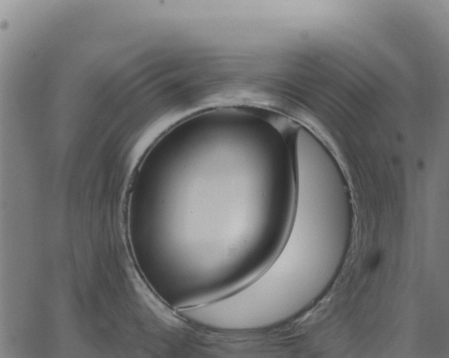 X0000062861344200601201719