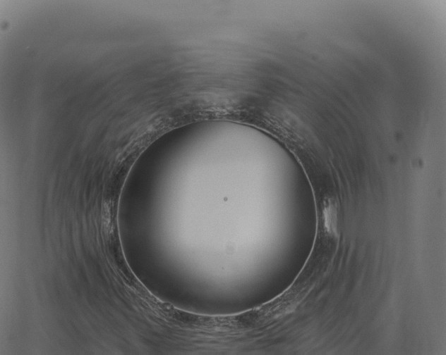 X0000062861347200601201718