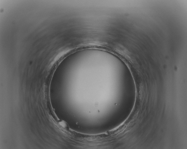 X0000062861404200601201717