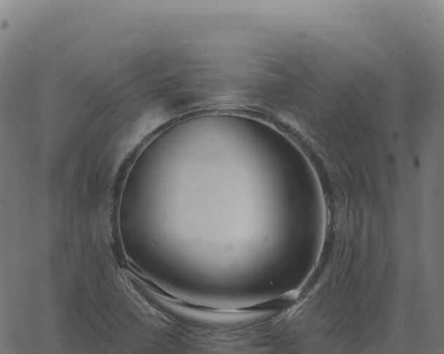 X0000062861410200601201717