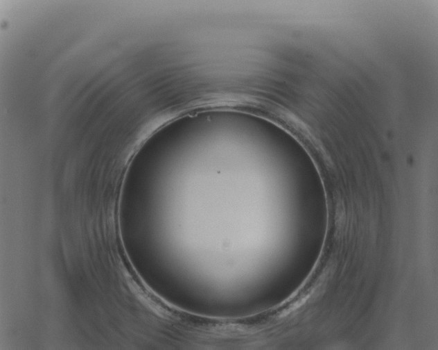 X0000062861417200601201717