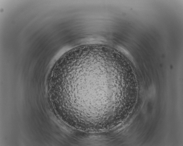 X0000062861419200601201717