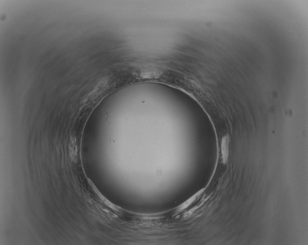 X0000062861443200601201717