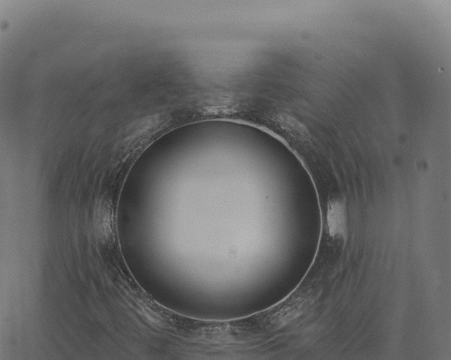 X0000062861444200601201717