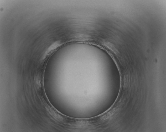 X0000062861451200601201717