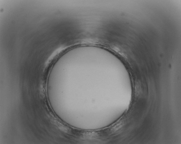 X0000062861454200601201716